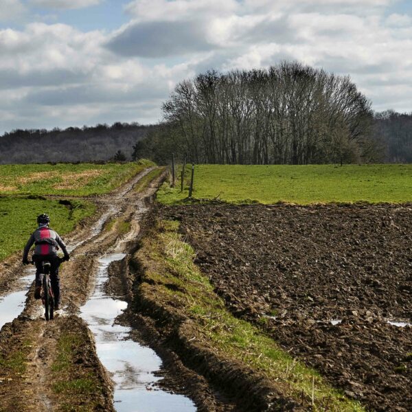 VTT Printemps 2023