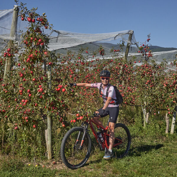 Le Rallye de la Pomme