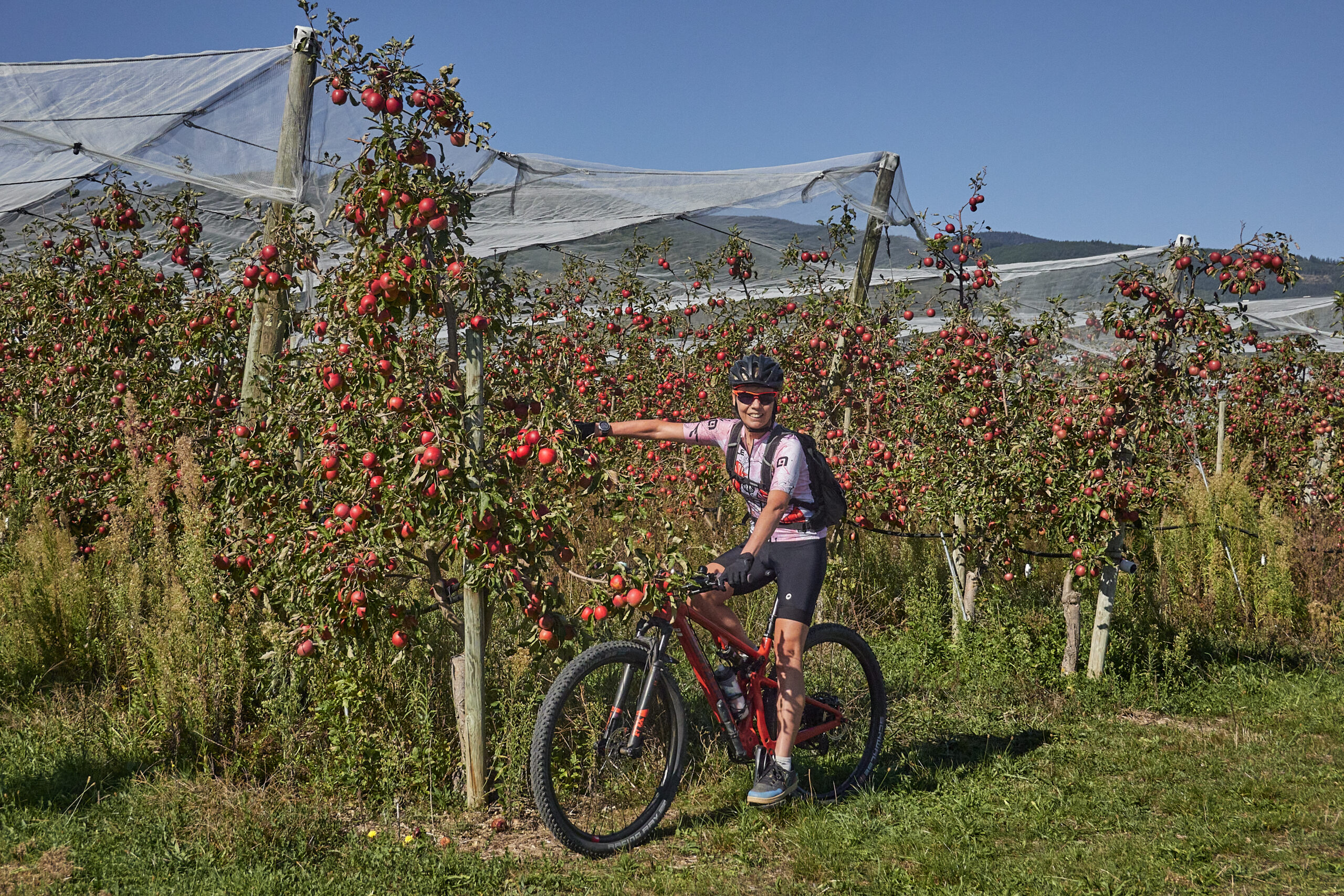 Le Rallye de la Pomme